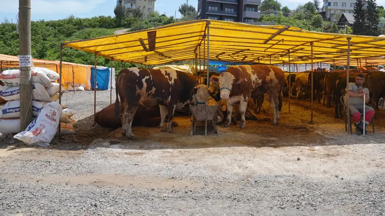 Ortahisar’da kurban hazırlıkları tamamlandı