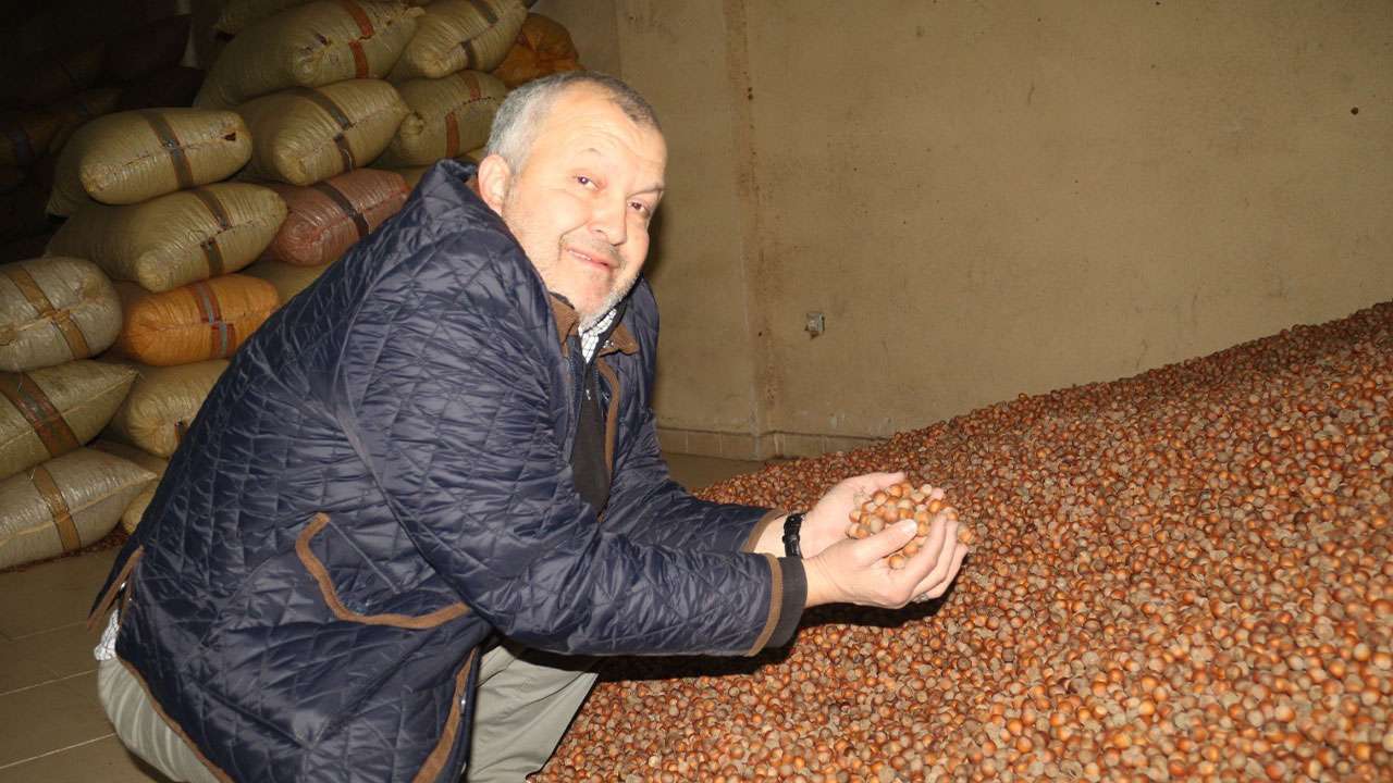 Kurban Bayramı öncesi fındık fiyatları geriledi
