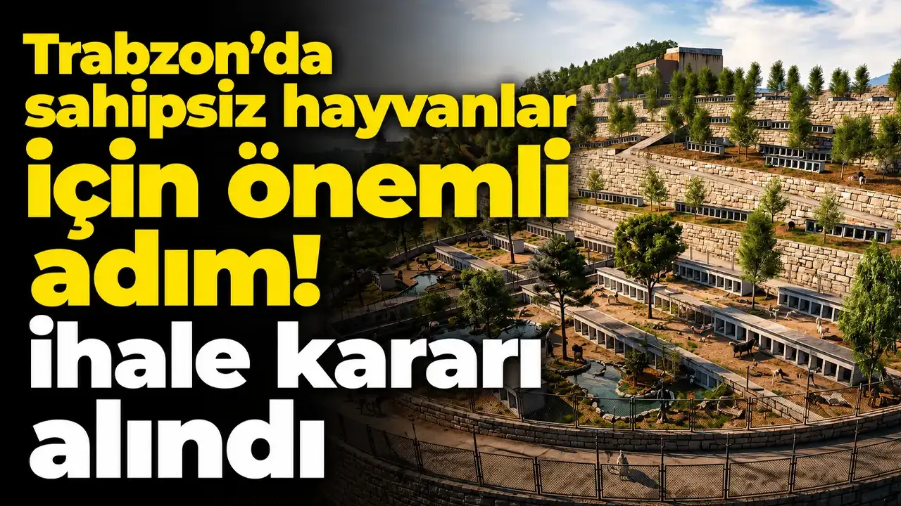 Trabzon’da sahipsiz hayvanlar için önemli adım! İhale kararı alındı