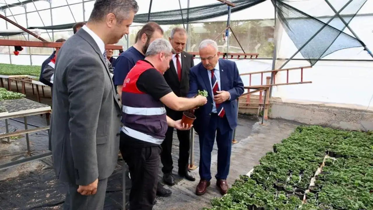 Ordu Büyükşehir Belediyesi 300 bin yazlık fide dağıtacak