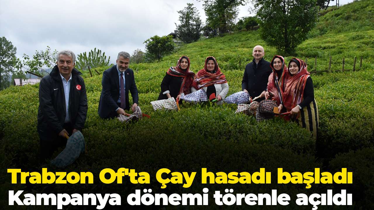 Trabzon Of'ta Çay hasadı başladı: Kampanya dönemi törenle açıldı