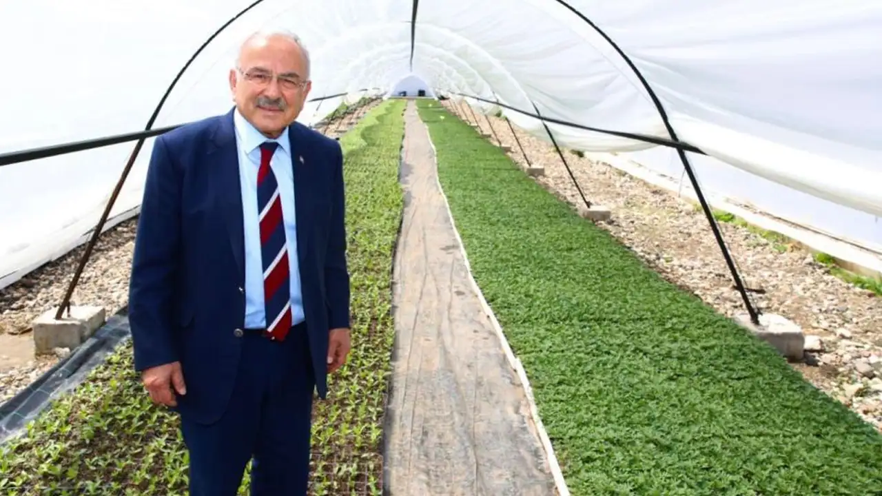 Ordu Büyükşehir kendi ürettiği çiçeklerle kenti renklendiriyor