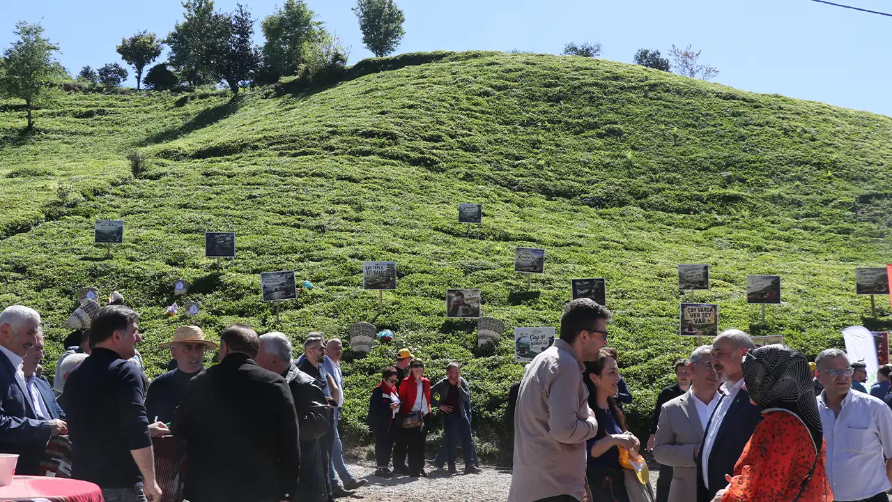 Rize’de çay hasadı “bir yaprakla başlar” etkinliğiyle karşılandı