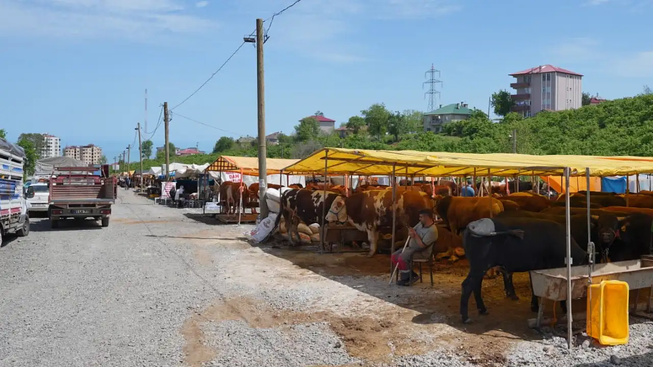 Trabzon'da kurban satış ve kesim alanları nerede? İşte detaylar