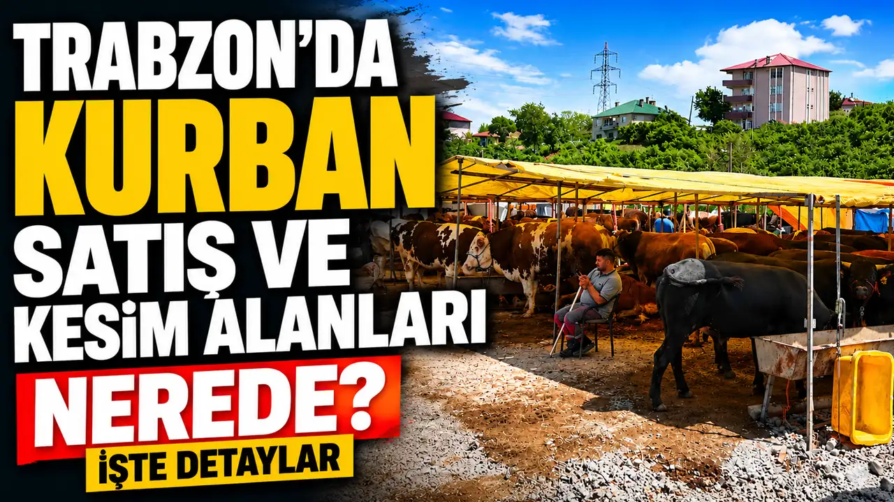 Trabzon'da kurban satış ve kesim alanları nerede? İşte detaylar