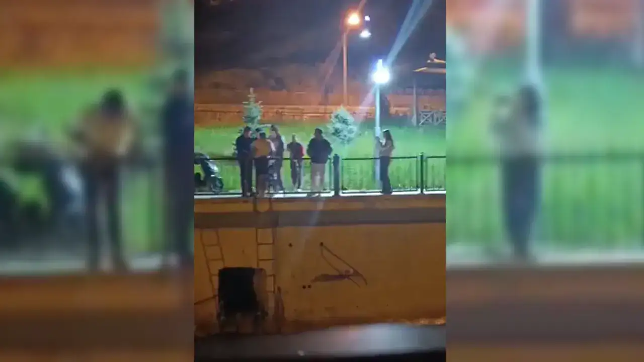 Vatandaşlardan örnek davranış! Dereye düşen kedi kurtarıldı
