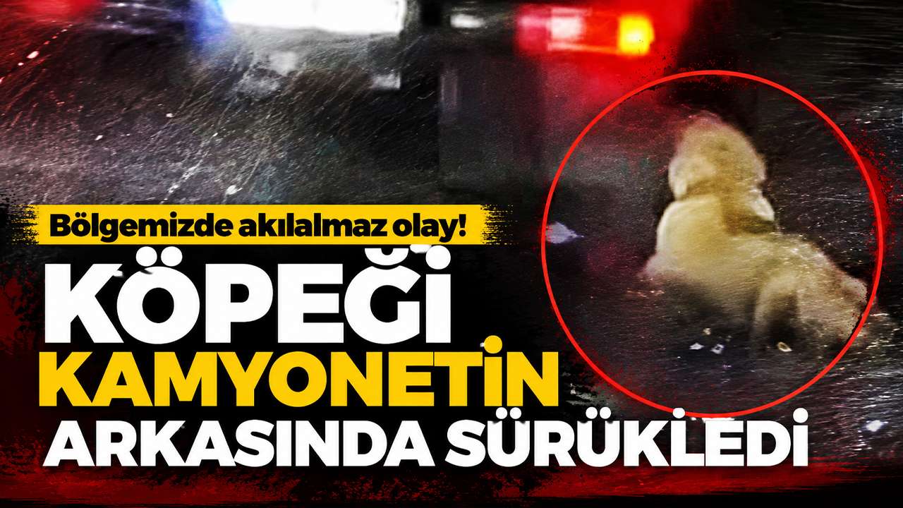 Bölgemizde akılalmaz olay! Köpeği kamyonetin arkasında sürükledi