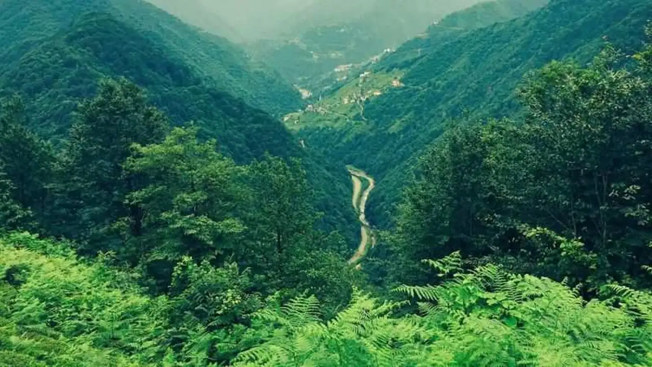 Trabzon'da o bölgeler artık orman değil