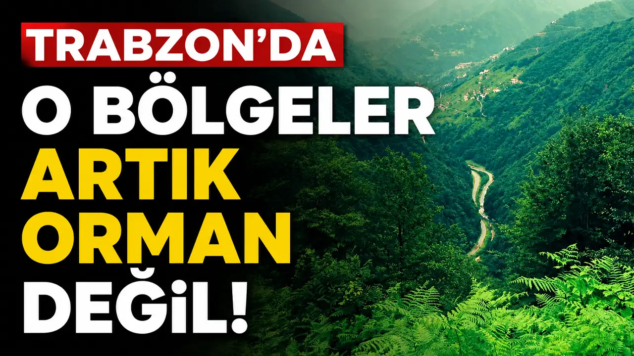 Trabzon'da o bölgeler artık orman değil