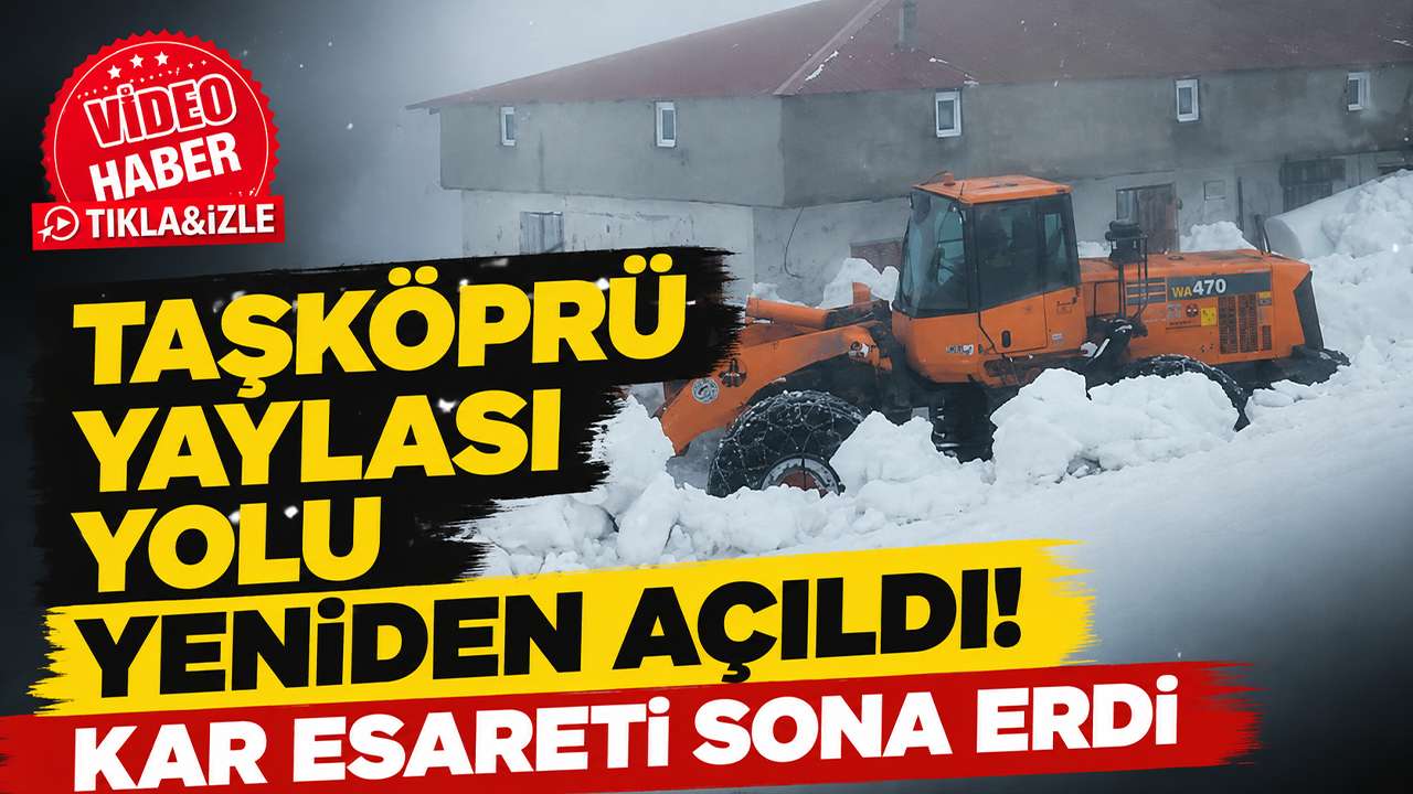 Taşköprü yaylası yolu yeniden açıldı! Kar esareti sona erdi