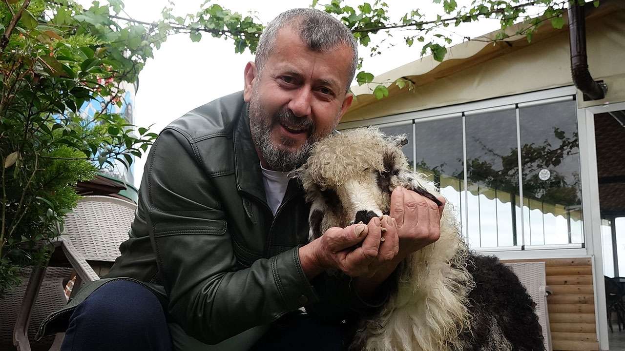 Trabzon’da büyüttüğü kuzusu ‘Abbas’ işletmenin maskotu oldu