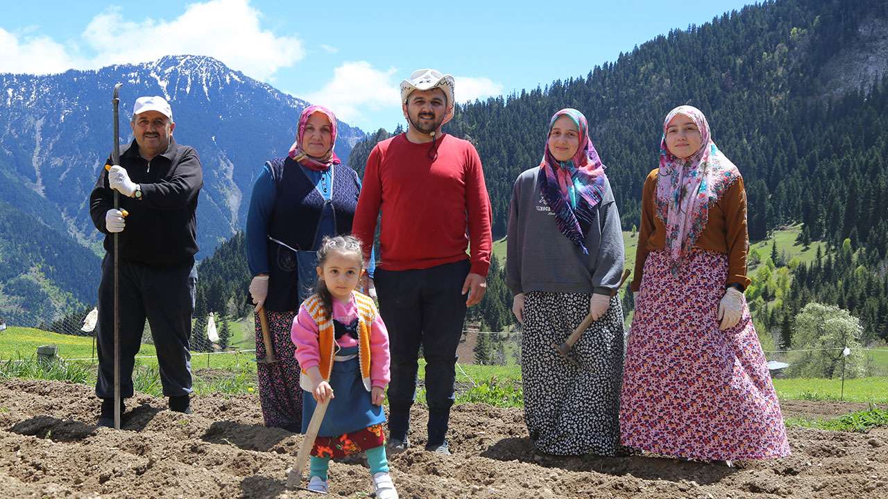 Artvin’de 1400 rakımda imece usulü tarım yapılıyor