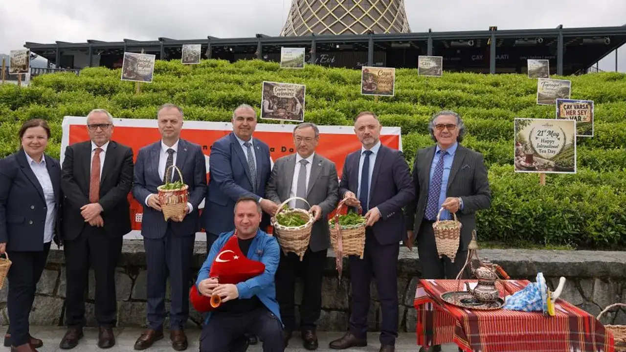 Rize’de Dünya Çay Günü’nde elle hasat etkinliği