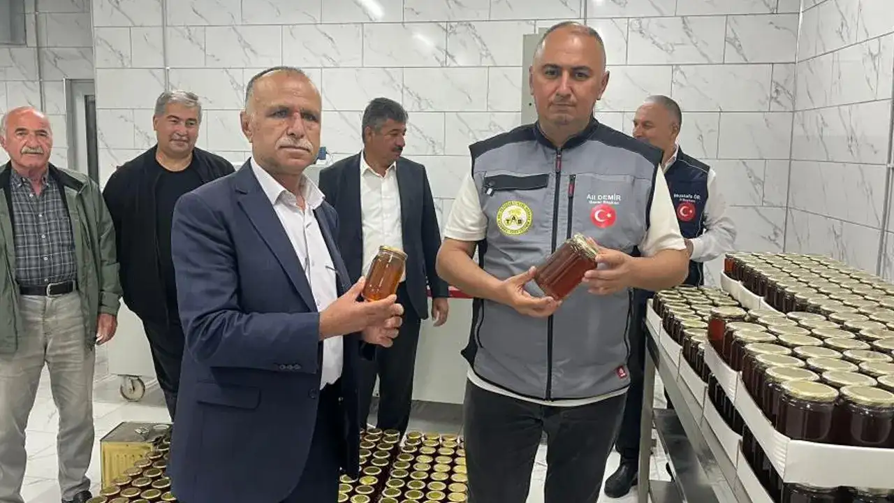 Artvin balına övgü: “İklim değişikliği arıları tehdit ediyor”