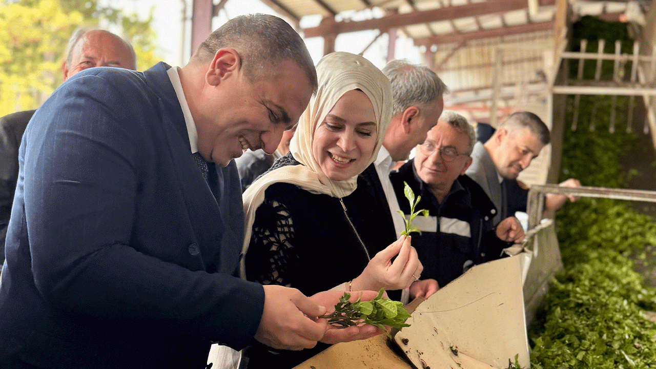Hayrat’ta ilk çay hasadı festivali yoğun katılımla gerçekleştirildi
