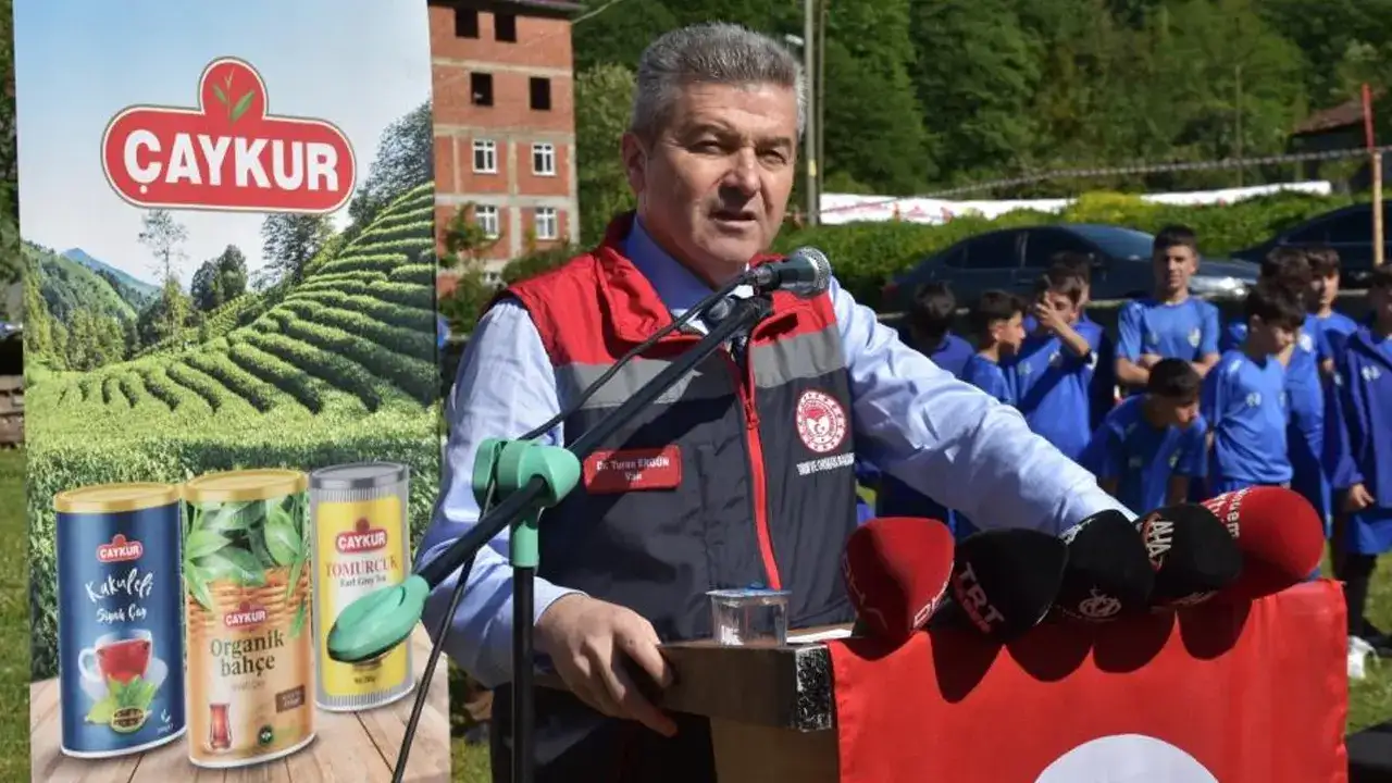 Artvin’de yaş çay hasadı başladı! Üreticiler sezona başladı