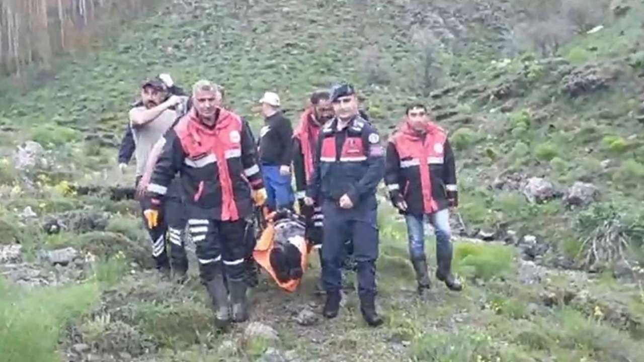 Mantar toplarken ayı saldırısına uğradı! Yardımına 3 farklı ekip yetişti