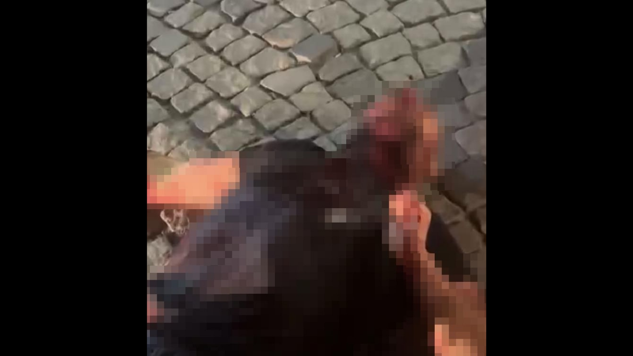 Dehşet veren cinayet! Boğazını kesip kahvehane önüne attı