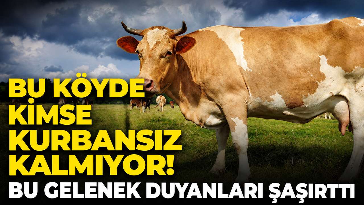 Bu köyde kimse kurbansız kalmıyor! Bu gelenek duyanları şaşırttı