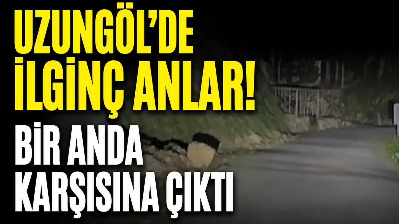 Uzungöl’de ilginç anlar! Bir anda karşısına çıktı