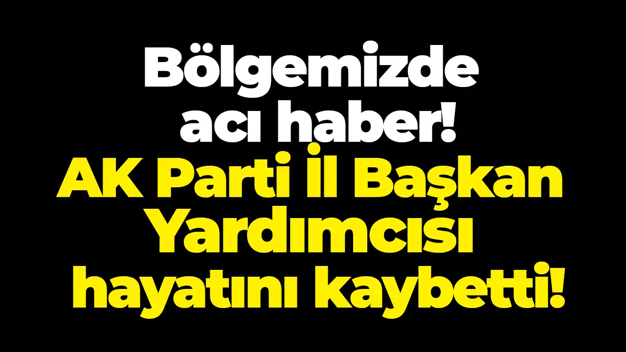 Ordu'da acı haber: AK Parti İl Başkan Yardımcısı hayatını kaybetti