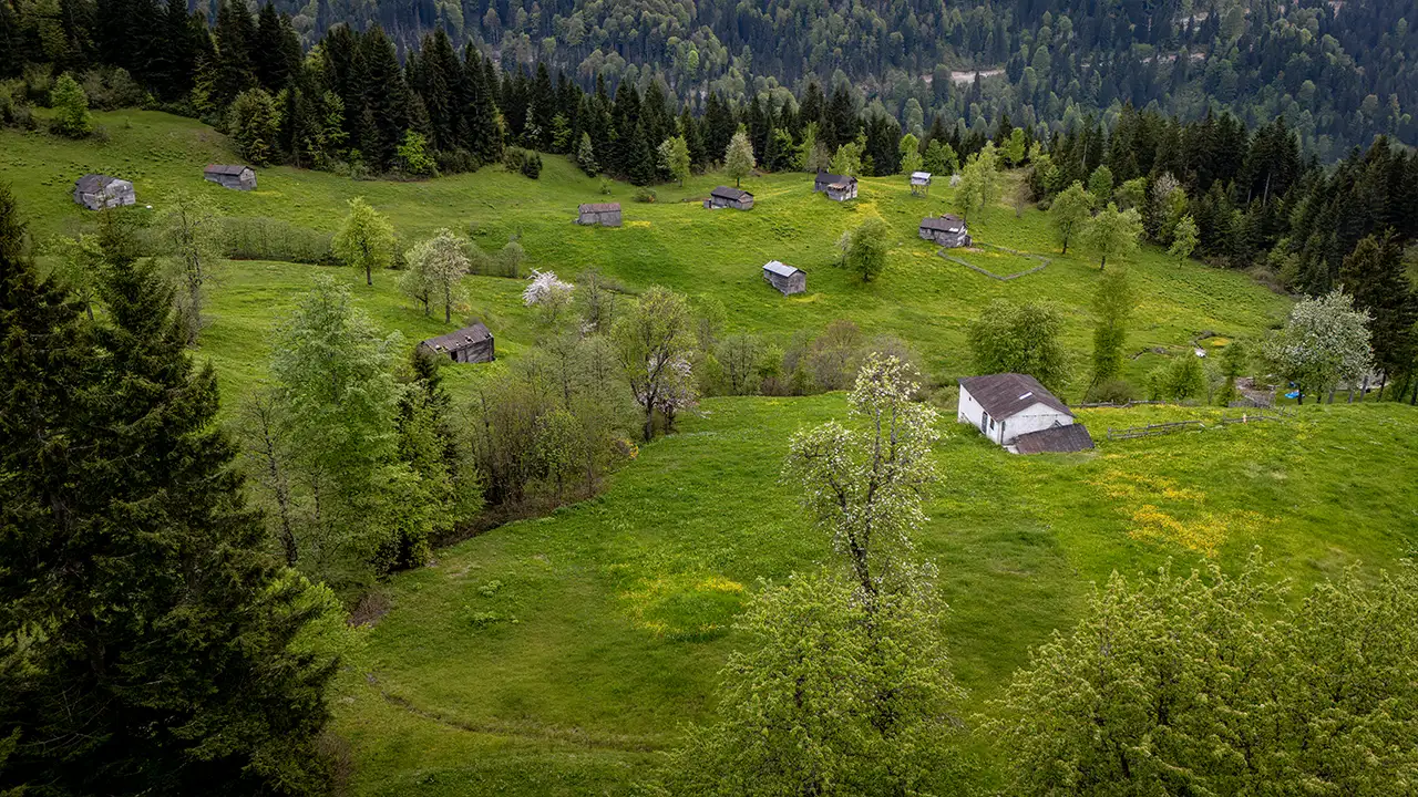 Trabzon yaylalarında kartpostallık görüntüler oluştu