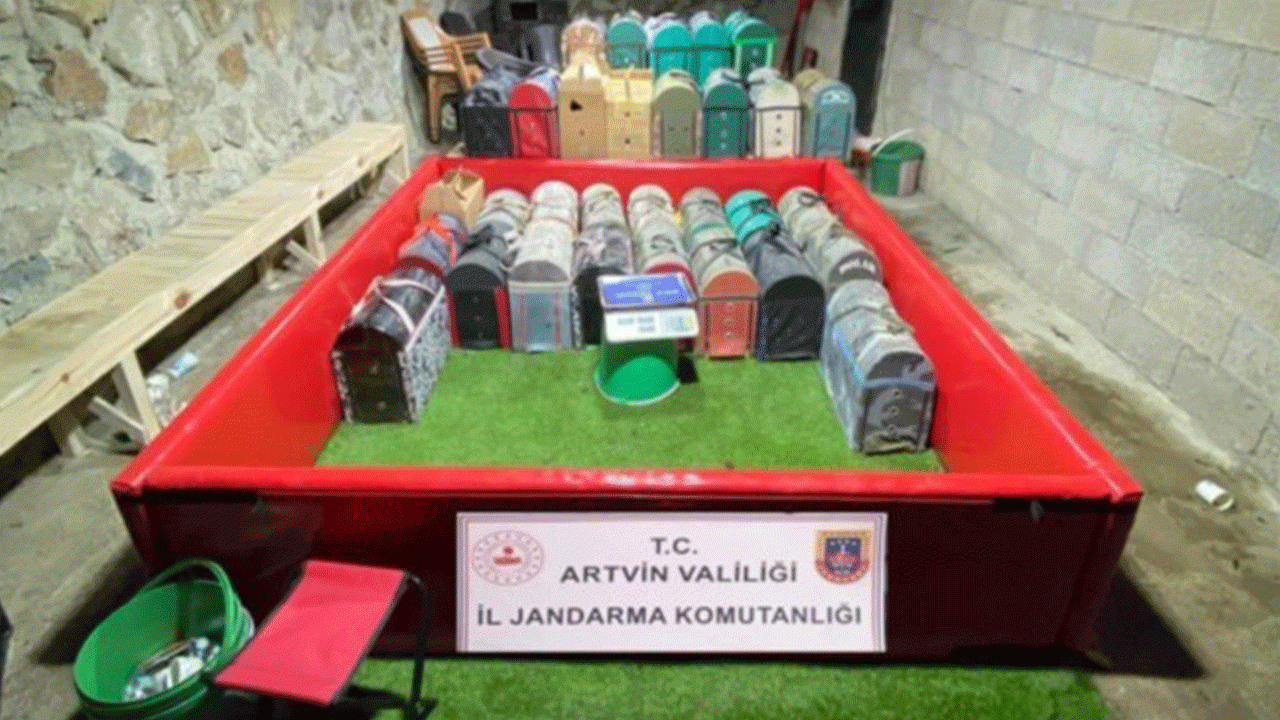 Artvin’de horoz dövüşüne operasyon: 39 kişiye ceza kesildi