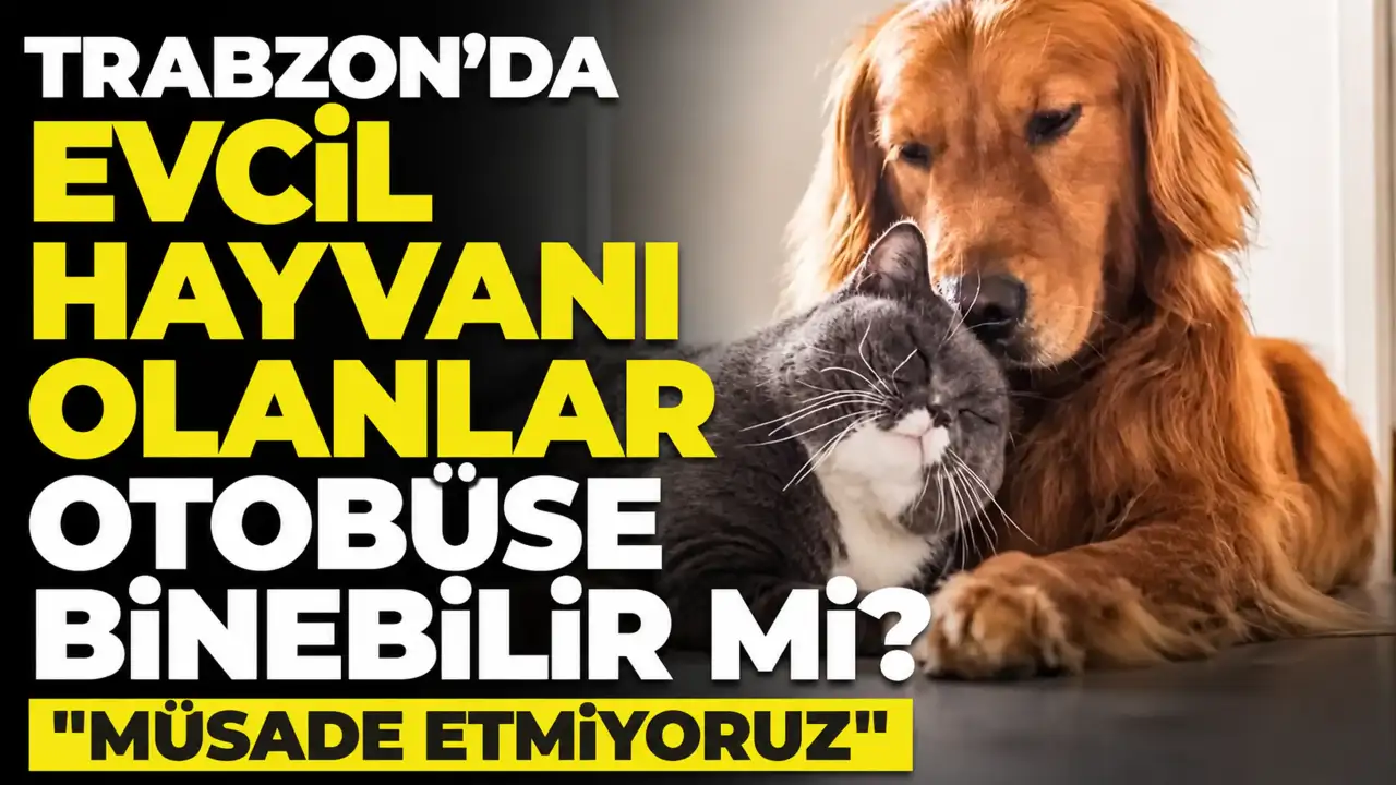 Trabzon’da evcil hayvanı olanlar otobüse binebilir mi? "Müsade etmiyoruz"