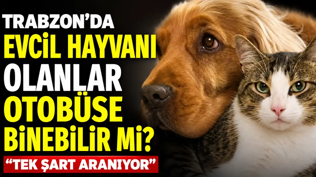 Trabzon’da evcil hayvanı olanlar otobüse binebilir mi?