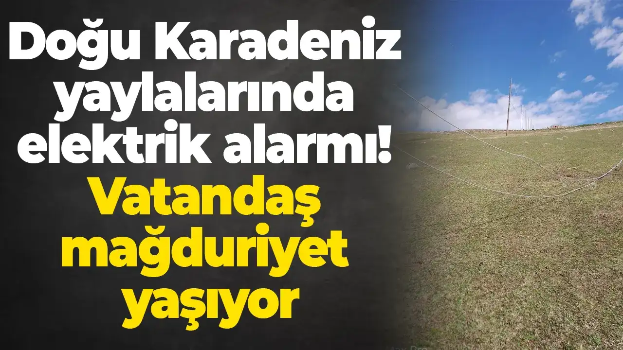 Doğu Karadeniz yaylalarında elektrik alarmı! Vatandaş mağduriyet yaşıyor