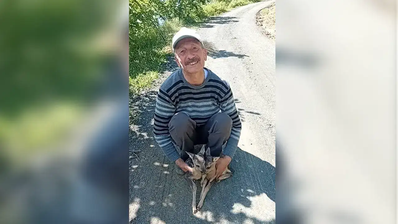 Trabzon’da görenleri gülümseten anlar! Karaca yavrularına Arçil ve Şota adını verdi