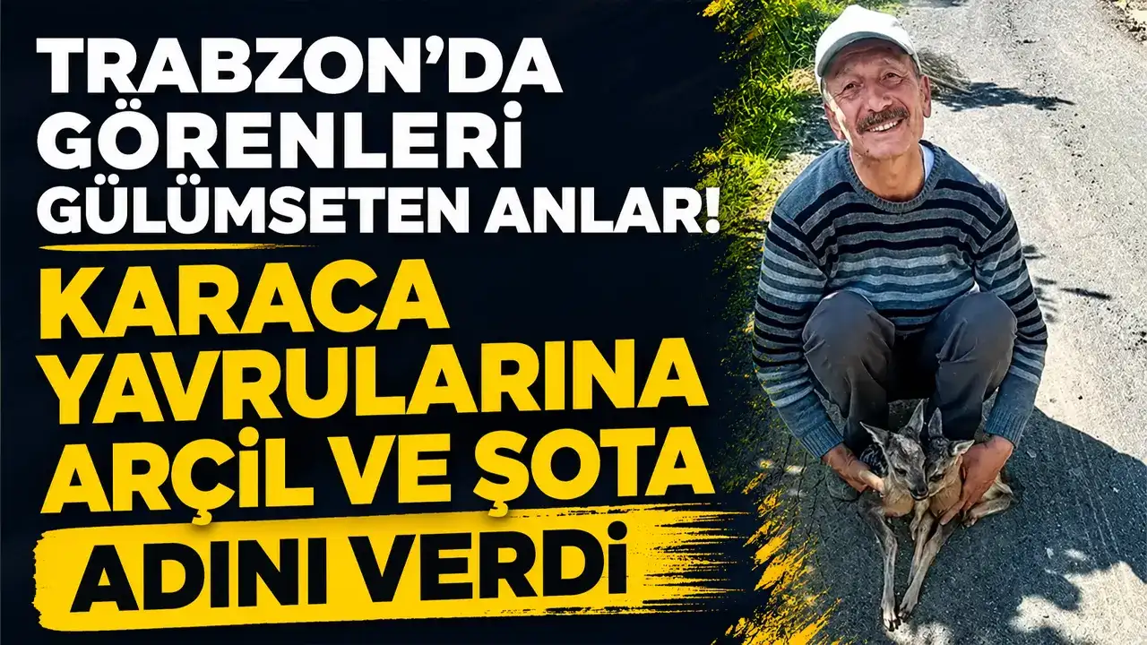Trabzon’da görenleri gülümseten anlar! Karaca yavrularına Arçil ve Şota adını verdi