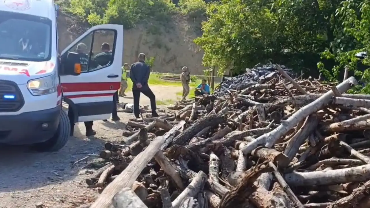 Eşini odunla öldürdü! Trabzon yolunda kamyonetini bırakıp kaçtı