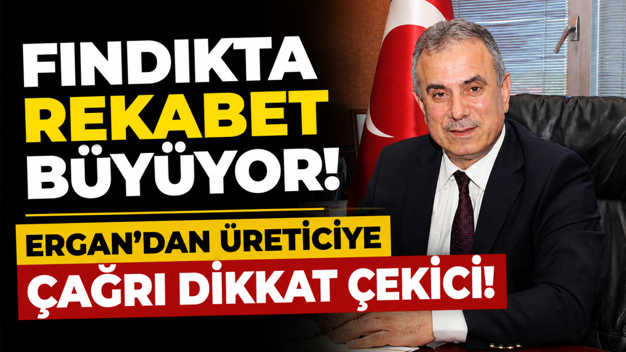 Fındıkta rekabet büyüyor! Ergan’dan üreticiye çağrı