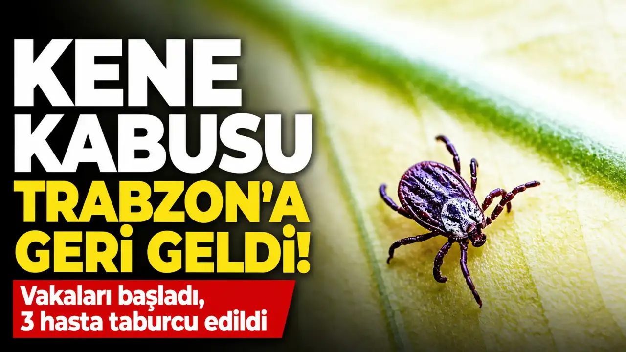 Kene kabusu Trabzon'a geri geldi! Vakaları başladı, 3 hasta taburcu edildi
