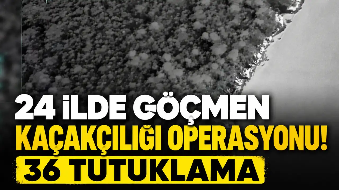 24 ilde göçmen kaçakçılığı operasyonu! 36 tutuklama