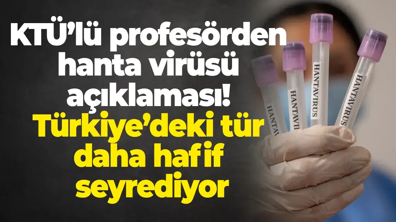 KTÜ’lü profesörden hanta virüsü açıklaması: Türkiye’deki tür