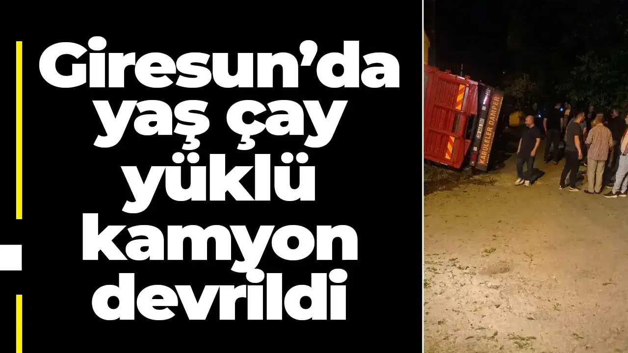 Giresun’da yaş çay yüklü kamyon devrildi