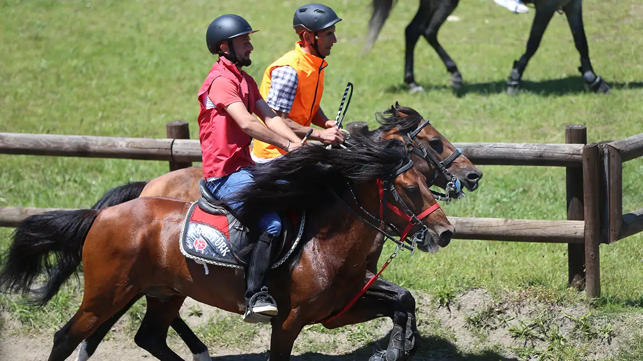 Ordu'da Geleneksel Rahvan At Yarışları düzenlendi