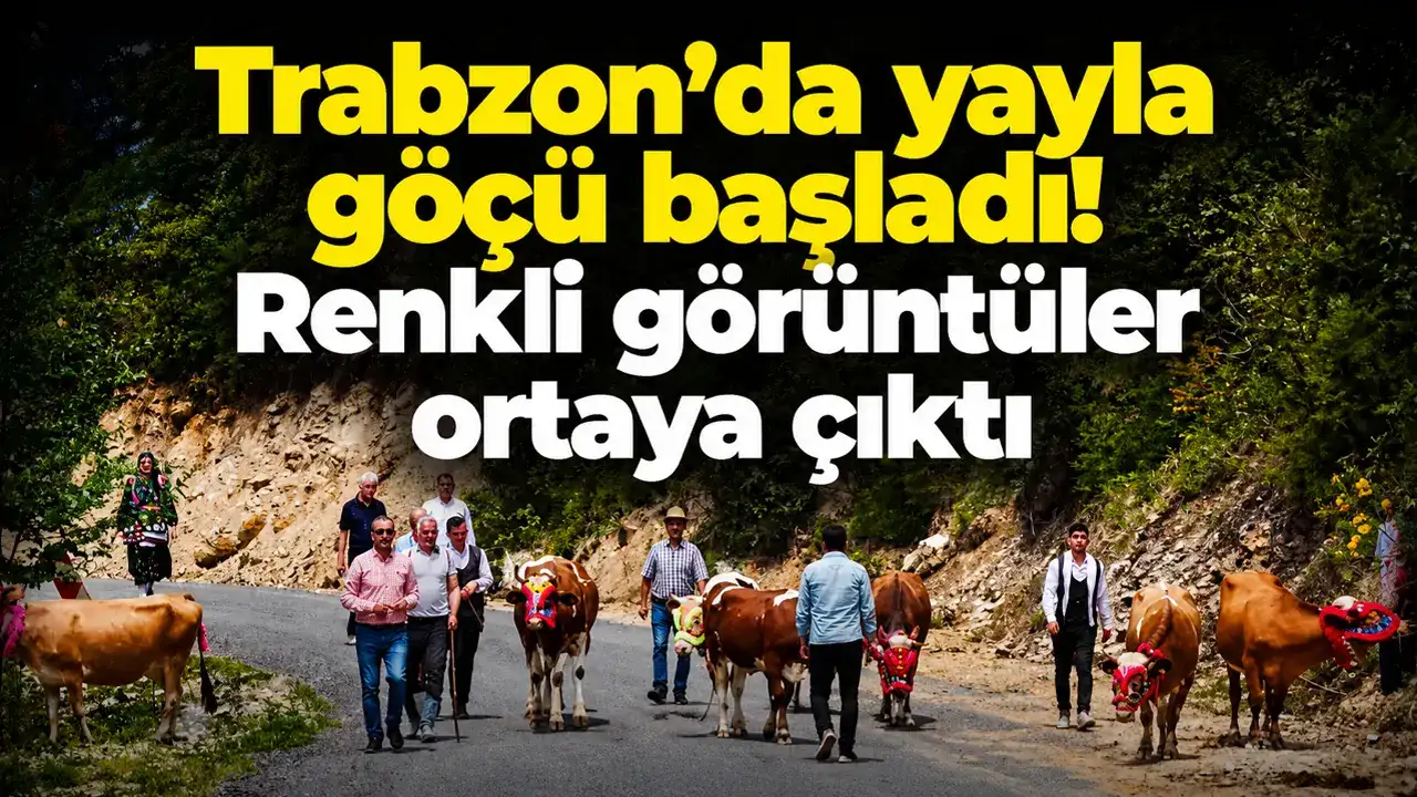 Trabzon’da yayla göçü başladı! Renkli görüntüler ortaya çıktı