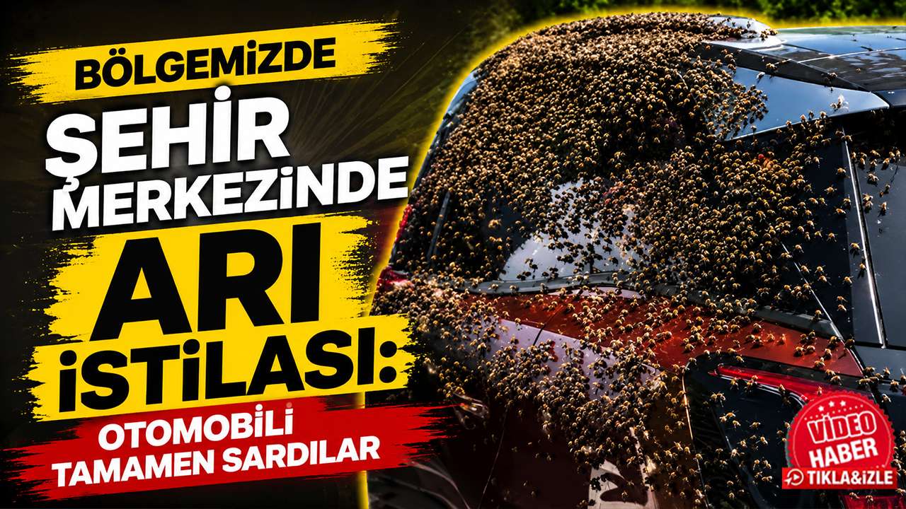 Bölgemizde şehir merkezinde arı istilası: Otomobili tamamen 