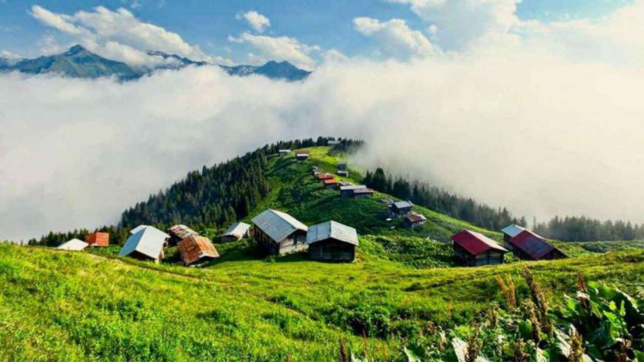 Uzmanlardan yayla uyarısı: "Yayla havası herkese iyi gelmeyebilir"