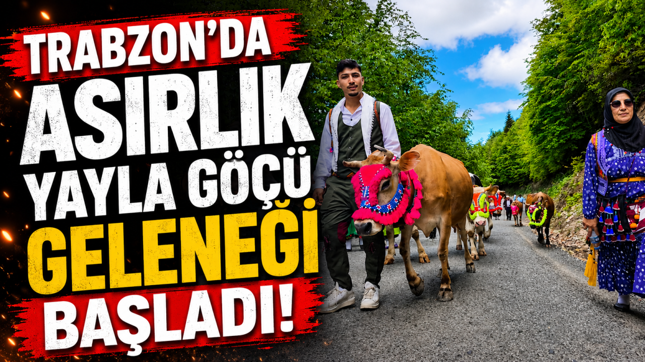 Trabzon'da asırlık yayla göçü geleneği başladı