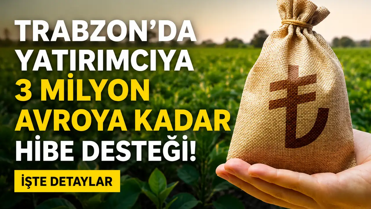 Trabzon'da yatırımcıya 3 milyon avroya kadar hibe desteği: İ