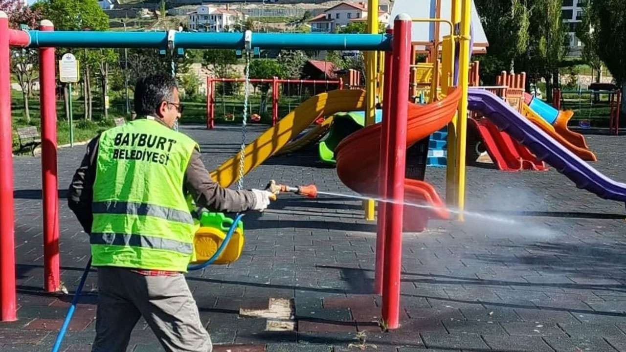 Bayburt’ta kene riskine karşı yeşil alanlar ilaçla