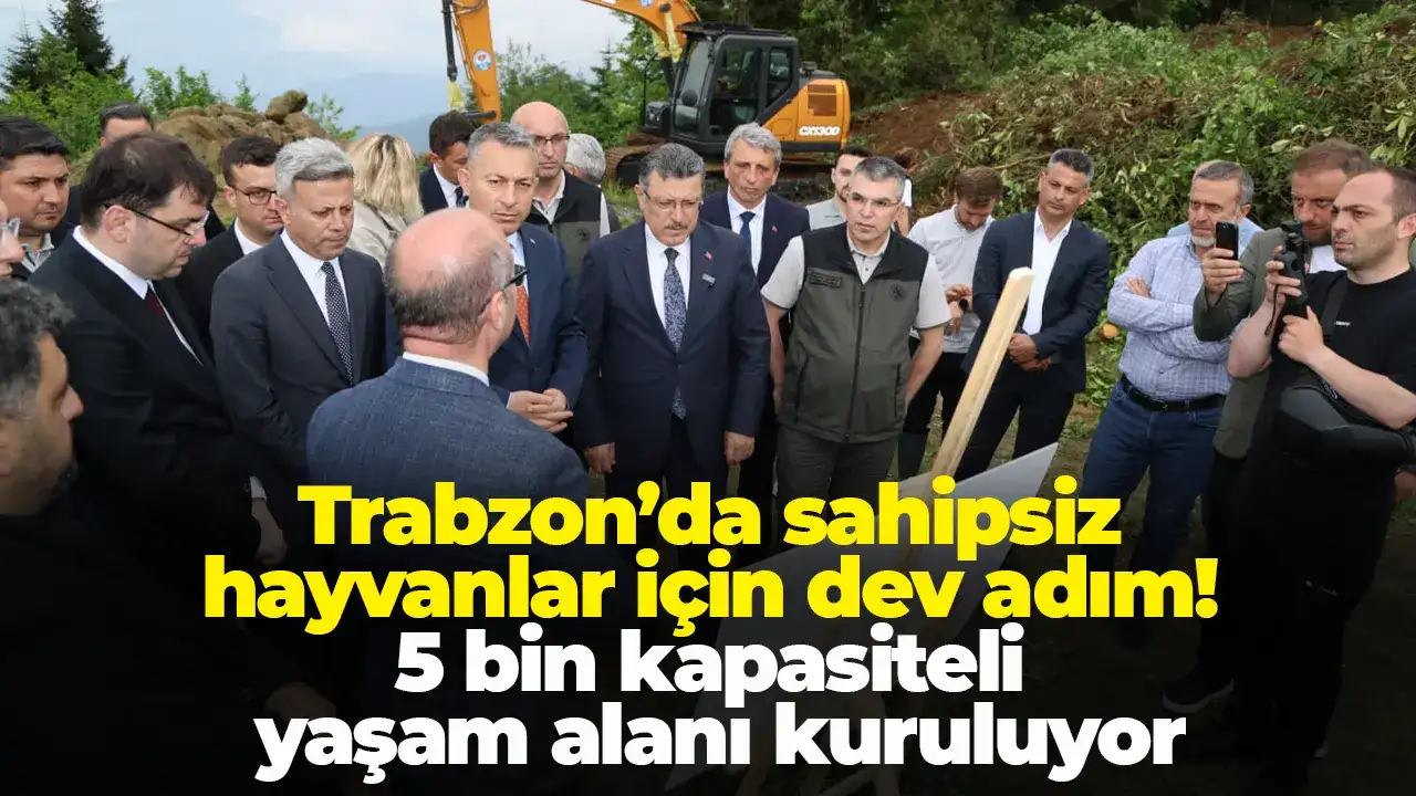 Trabzon’da sahipsiz hayvanlar için dev adım! 5 bin kapasitel