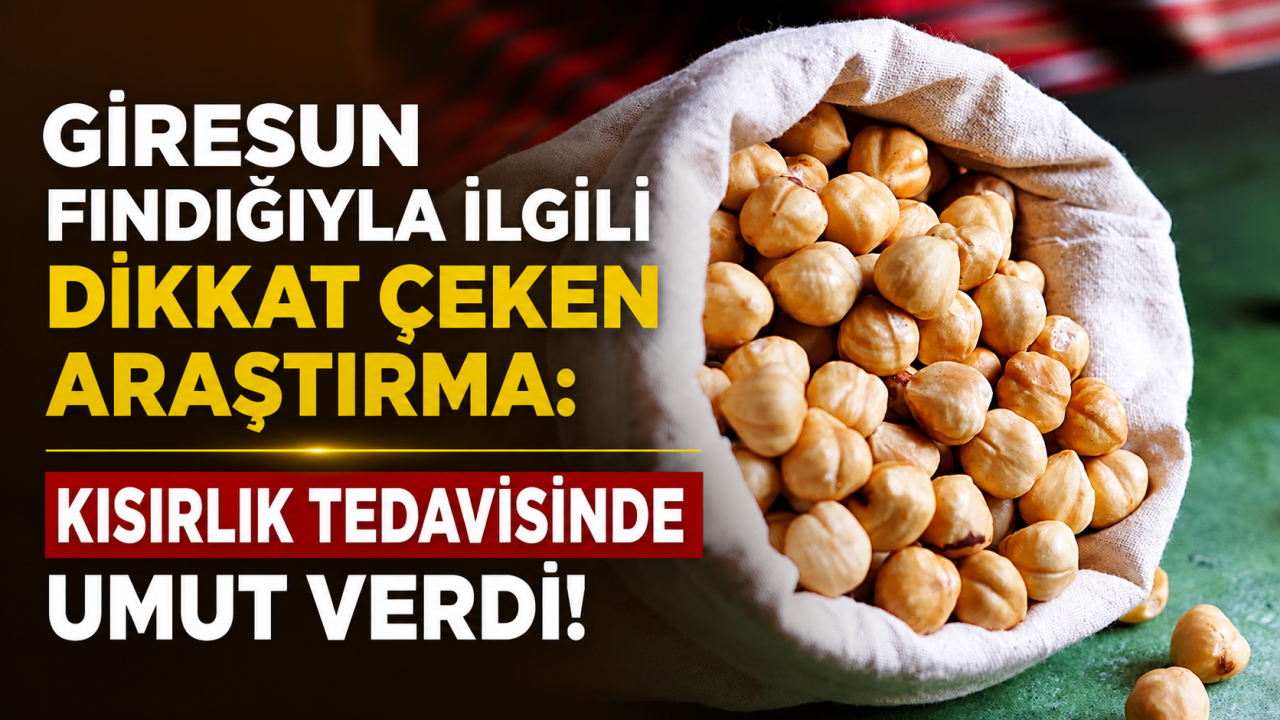 Giresun fındığıyla ilgili dikkat çeken araştırma: 