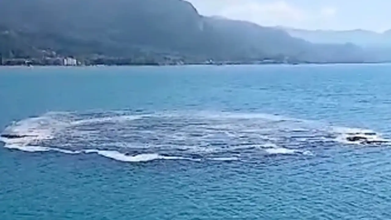 Karadeniz’de korkutan görüntü! Uzmanlar ne diyor?
