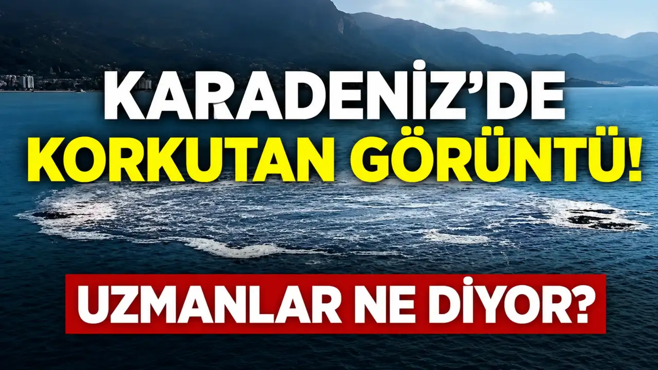 Karadeniz’de korkutan görüntü! Uzmanlar ne diyor?