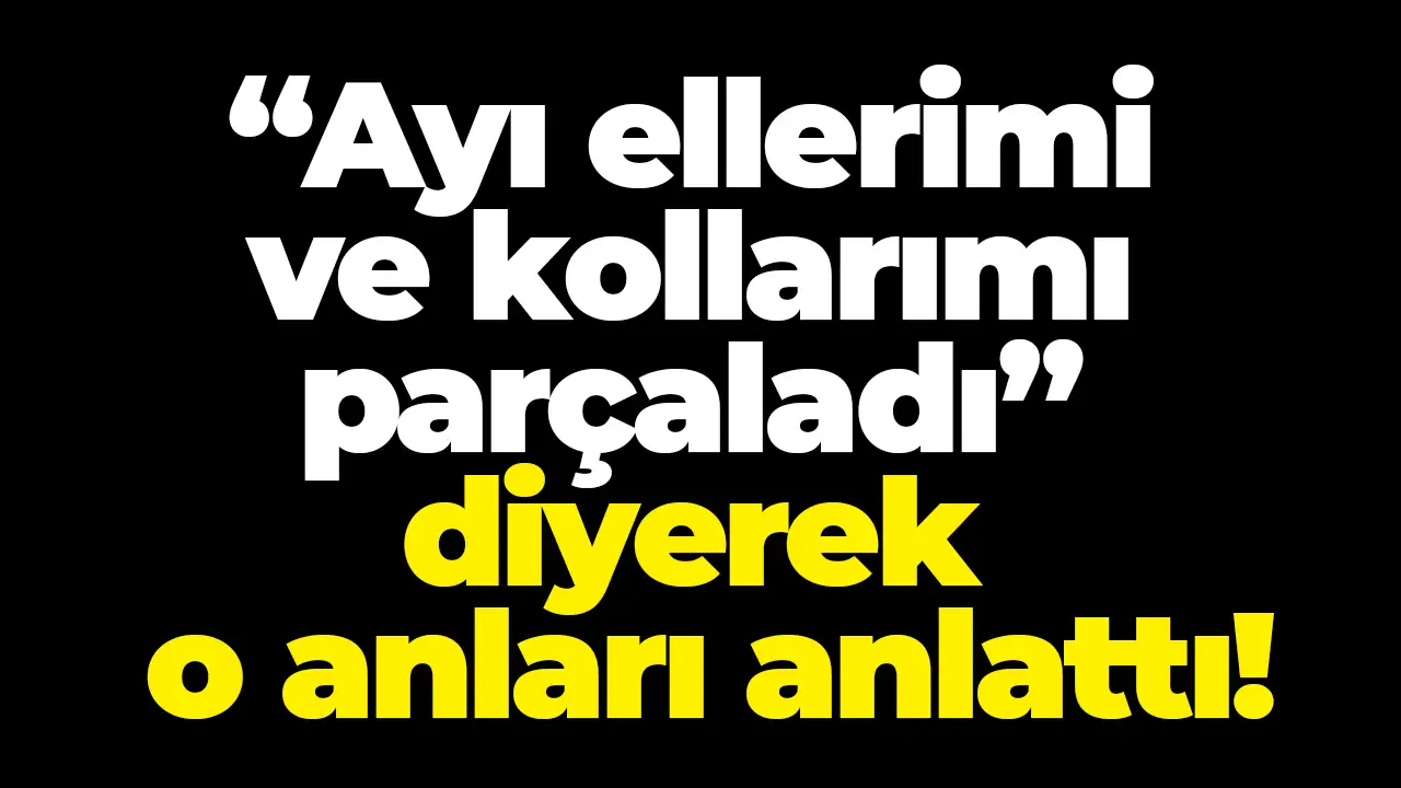 Artvin'de “Ayı ellerimi ve kollarımı parçaladı” diyerek o anları anlattı